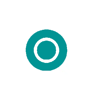 seo optimizer